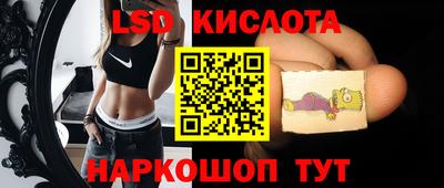 скорость Кингисепп