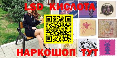 спиды Кимры