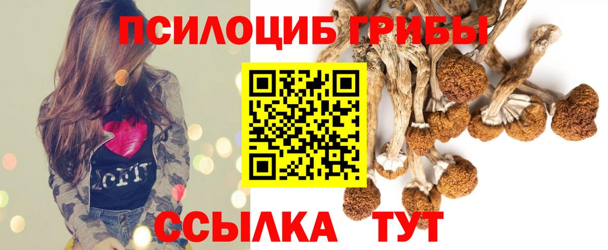 Галлюциногенные грибы GOLDEN TEACHER  Галлюциногенные грибы MAGIC MUSHROOMS  Котельники  Вход с VPN 